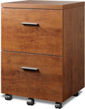 Walnut 2-Drawer Wood File Cabinet N30246