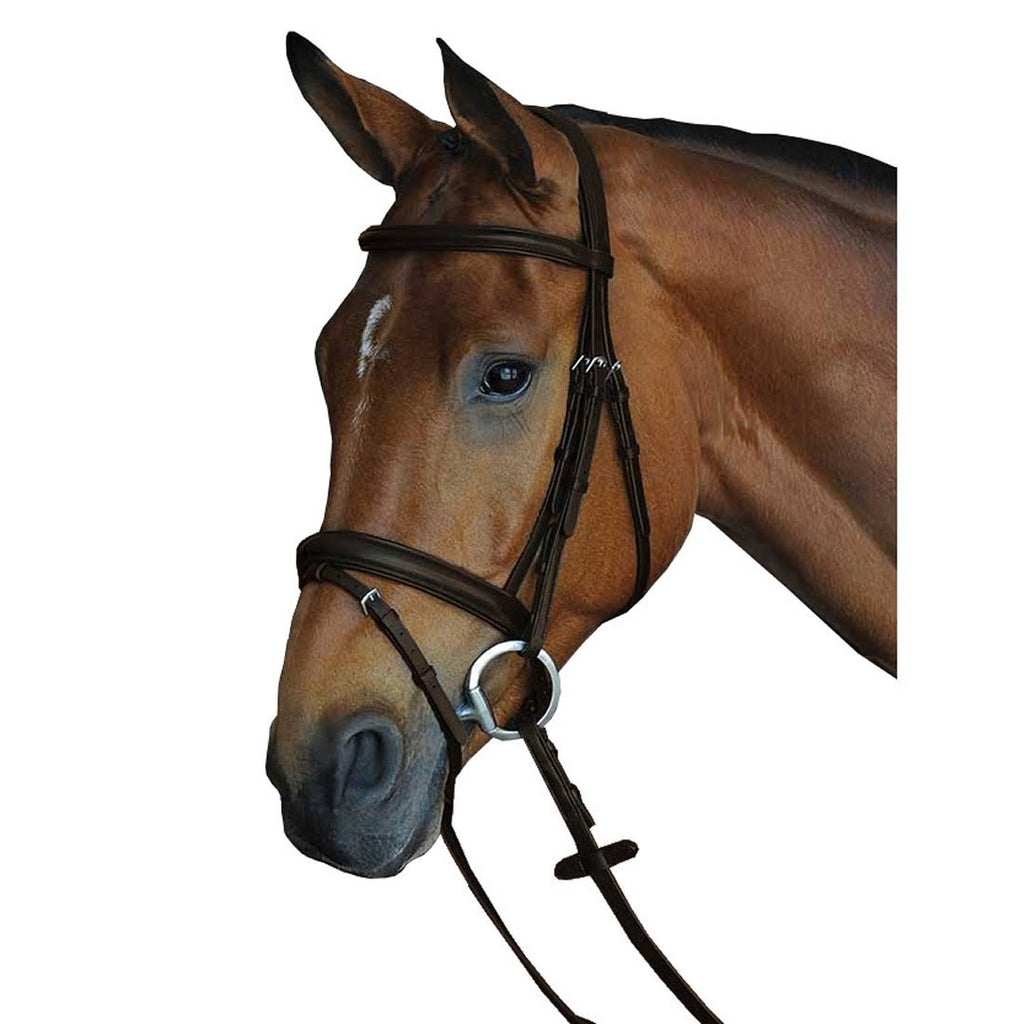 Black Warmblood Padded Raised Flash Bridle T15723