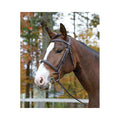 Havana Bridle W656225