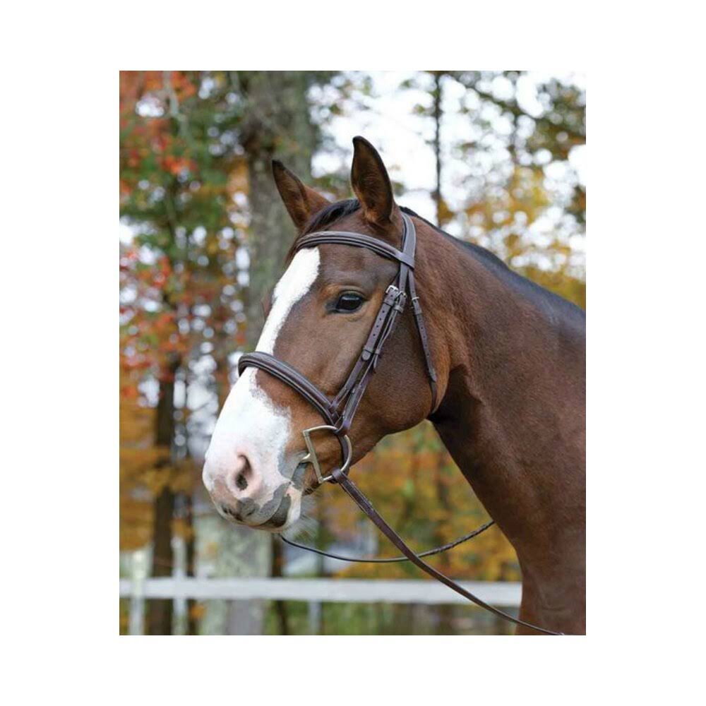 Havana Bridle W656225