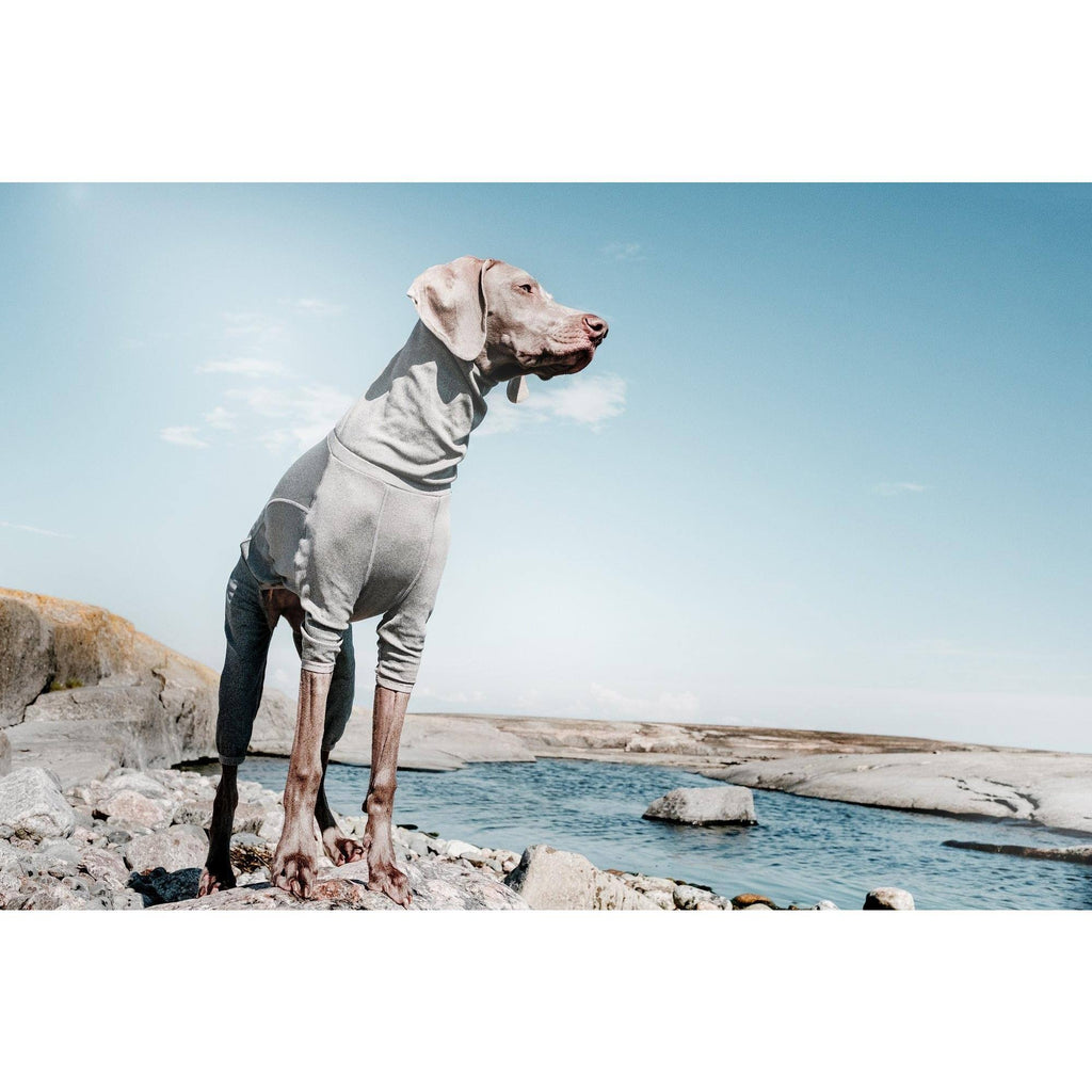 Carbon Grey Dog Body Warmer 24M Q535