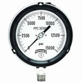 15000 Bottom Stainless Steel Pressure Gauge E560259