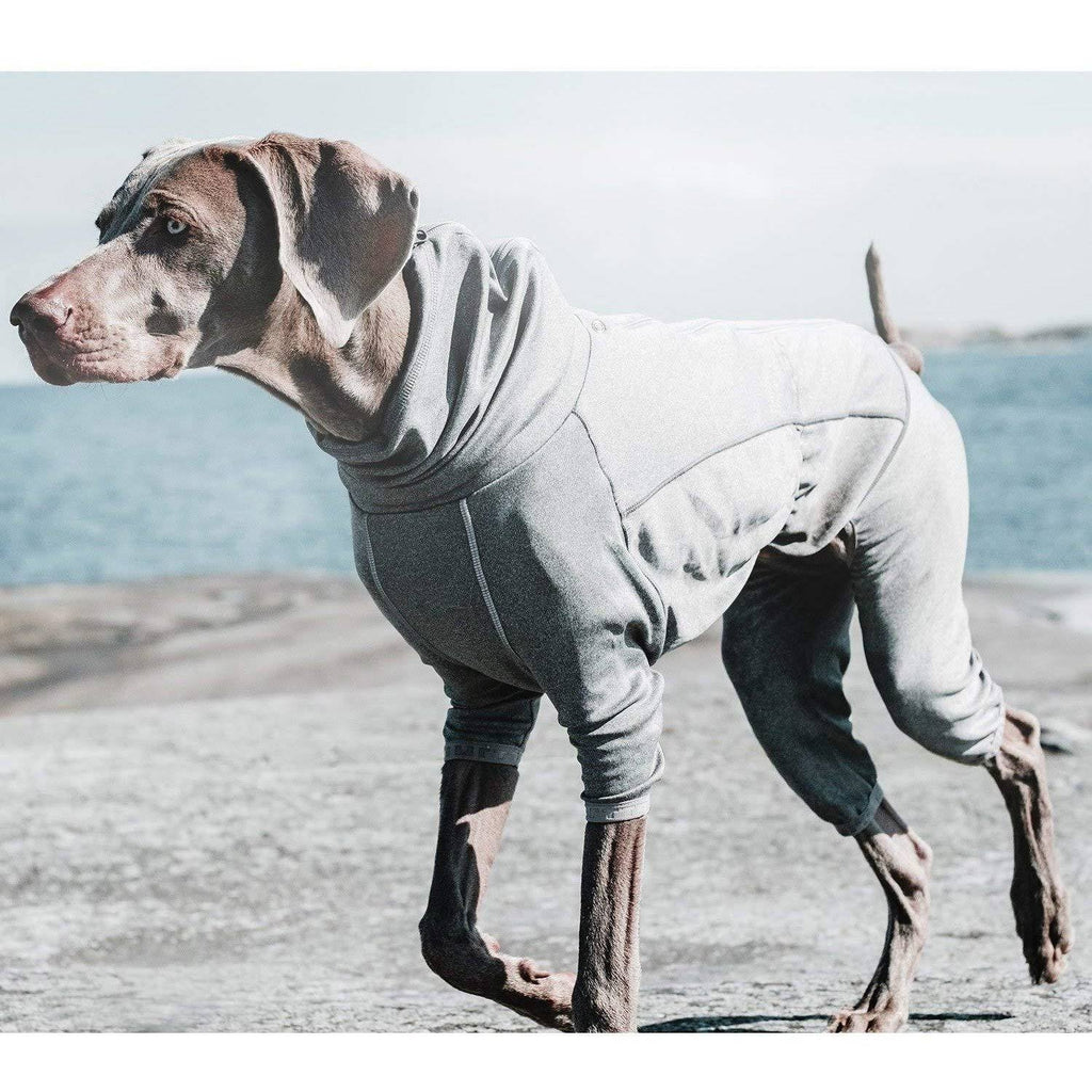 Carbon Grey Dog Body Warmer 24M Q535