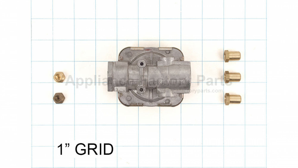 Natural Gas Conversion Kit V451