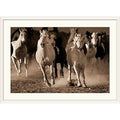 White Frame Photographic Print L4130
