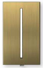 Antique Brass 1-Gang Wallplate D593618