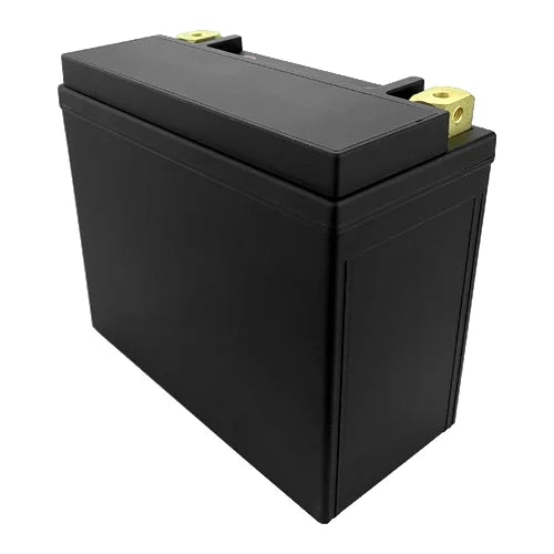 12 Volt 18Ah Lithium Ion YTX20L-BS Battery M8391