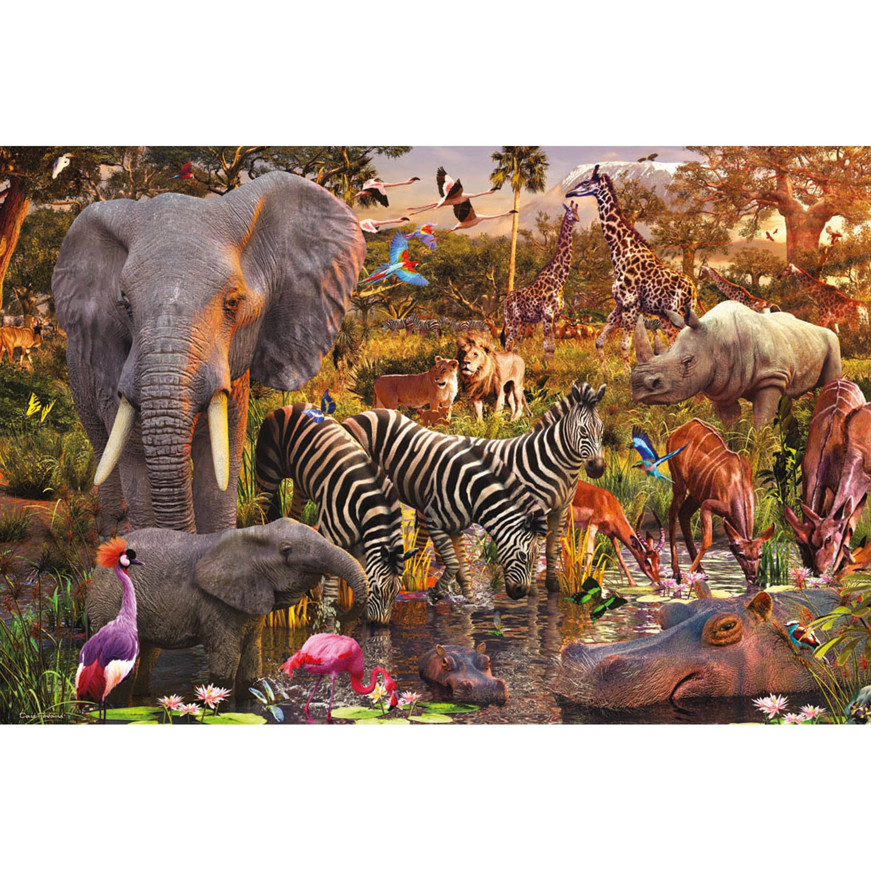 African Animals 3000 Piece Puzzle D882369