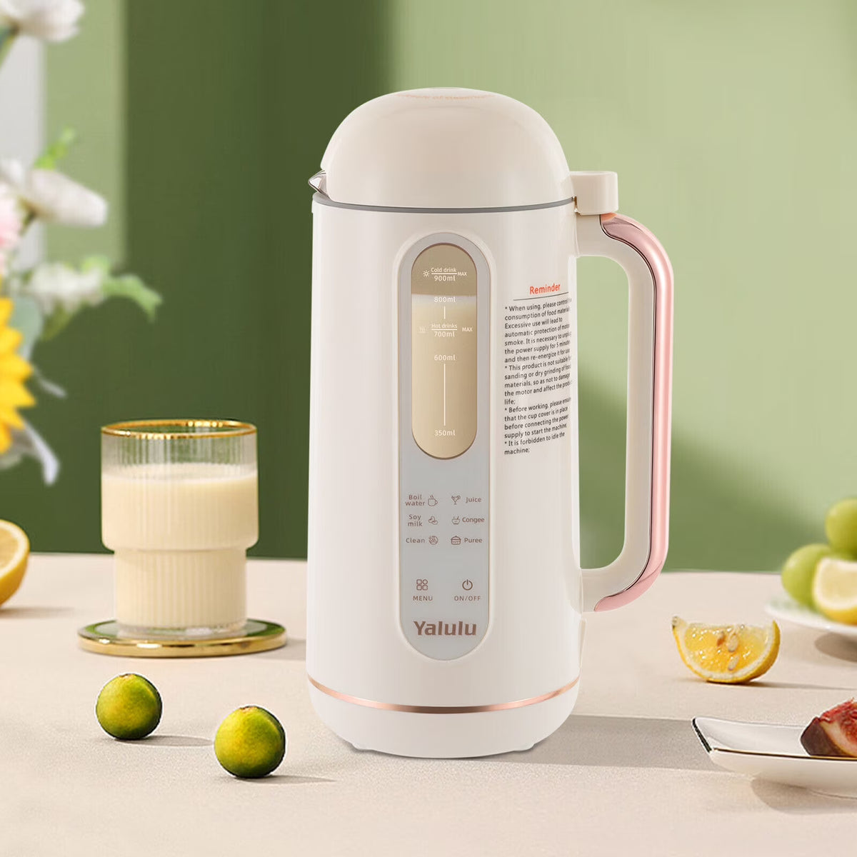 30 oz Soymilk Maker Juicer 6-in-1 Machine R131