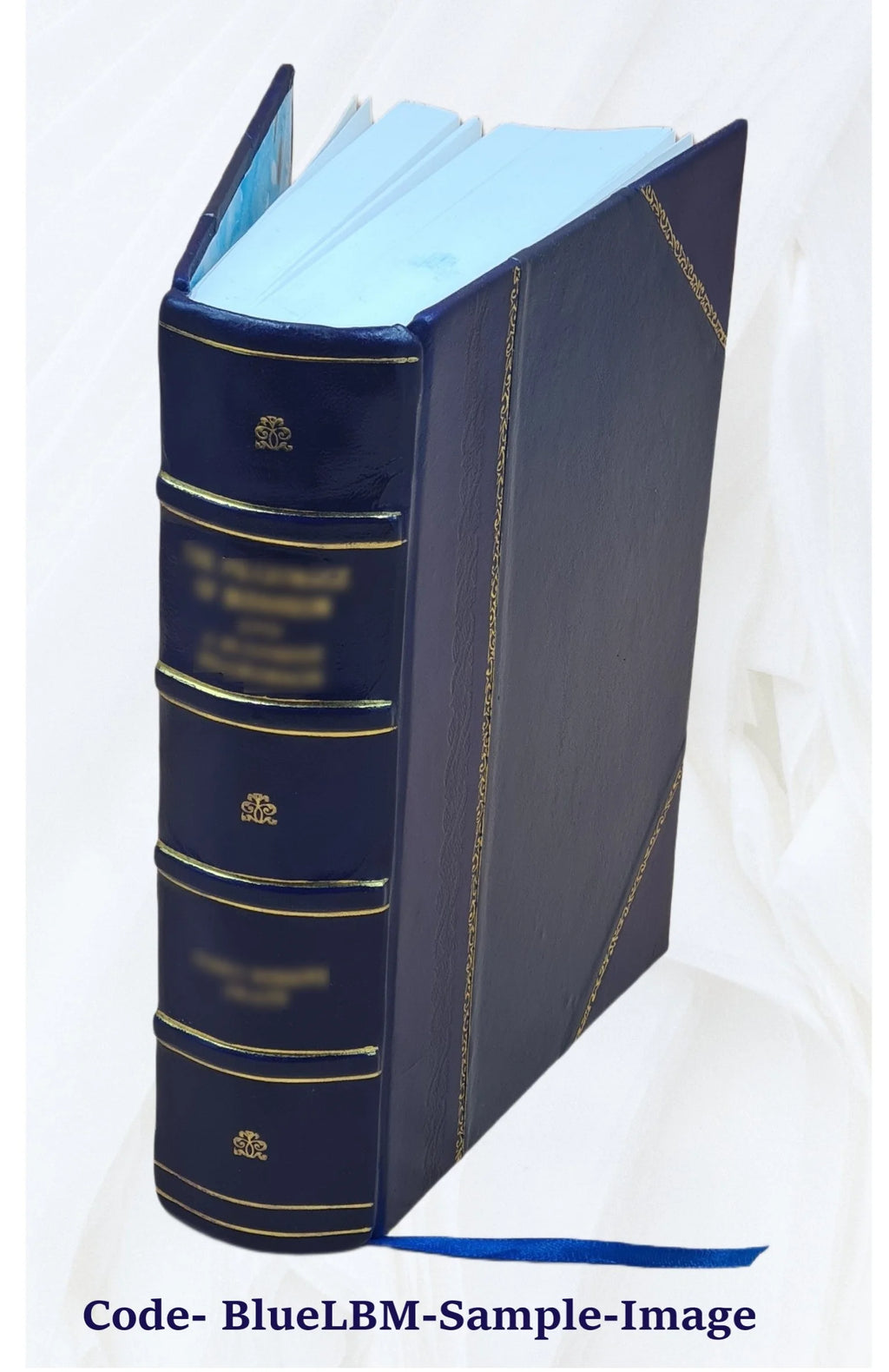 Leather Bound Book V36042
