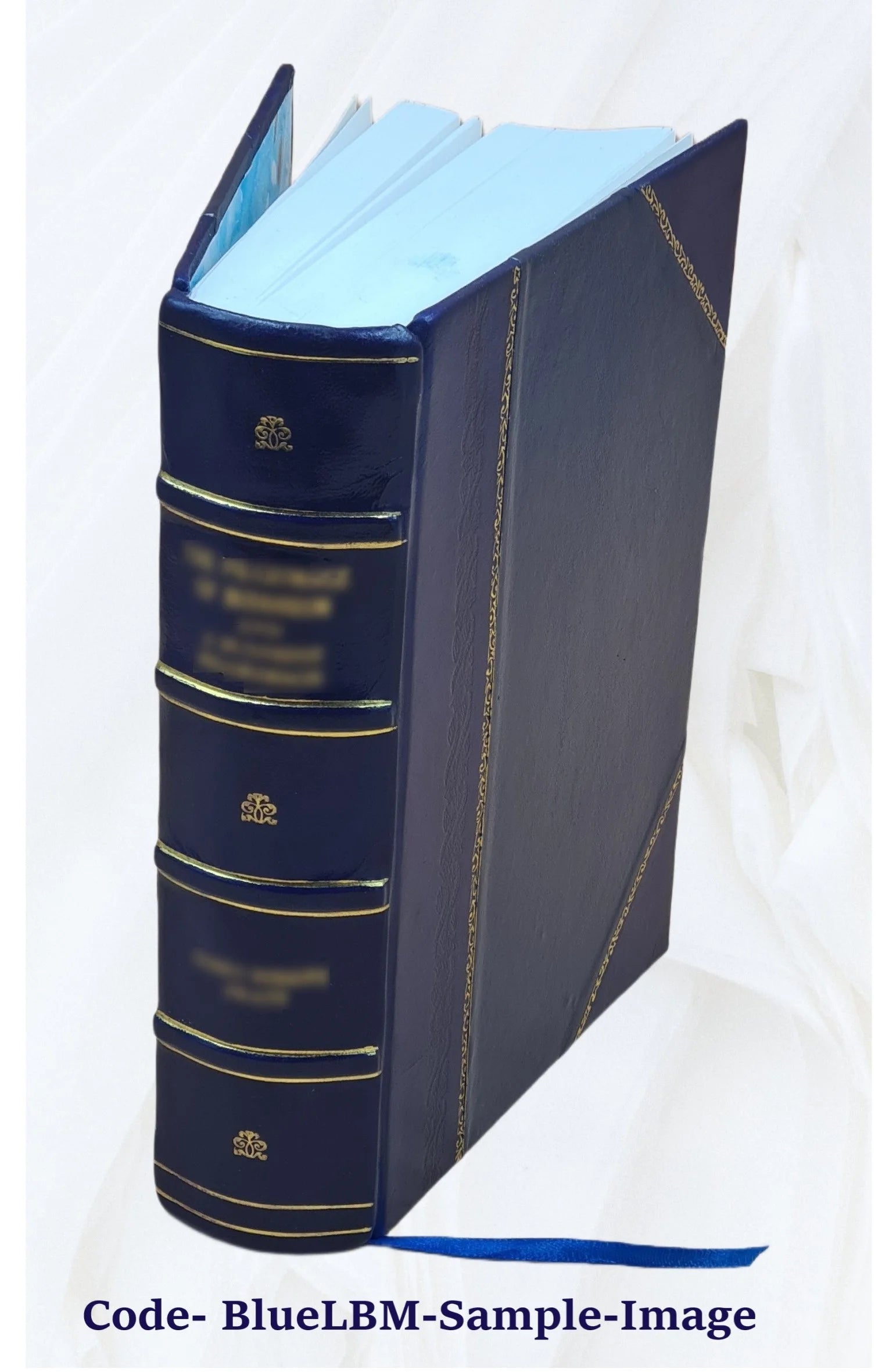 Leather Bound Book V36042