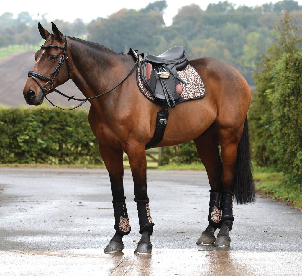 Brown Saddle Pad O664