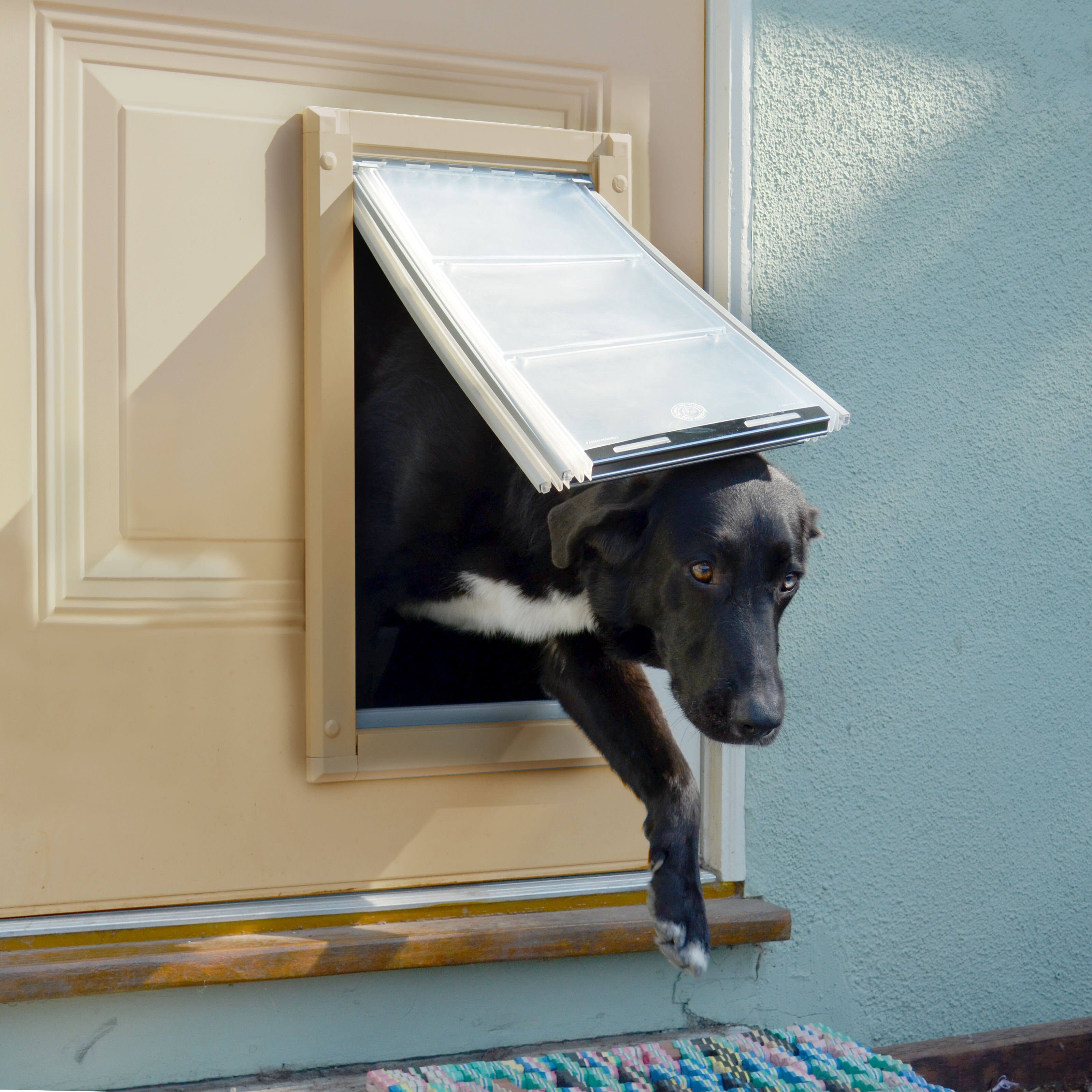Tan Double Flap Pet Door R304325