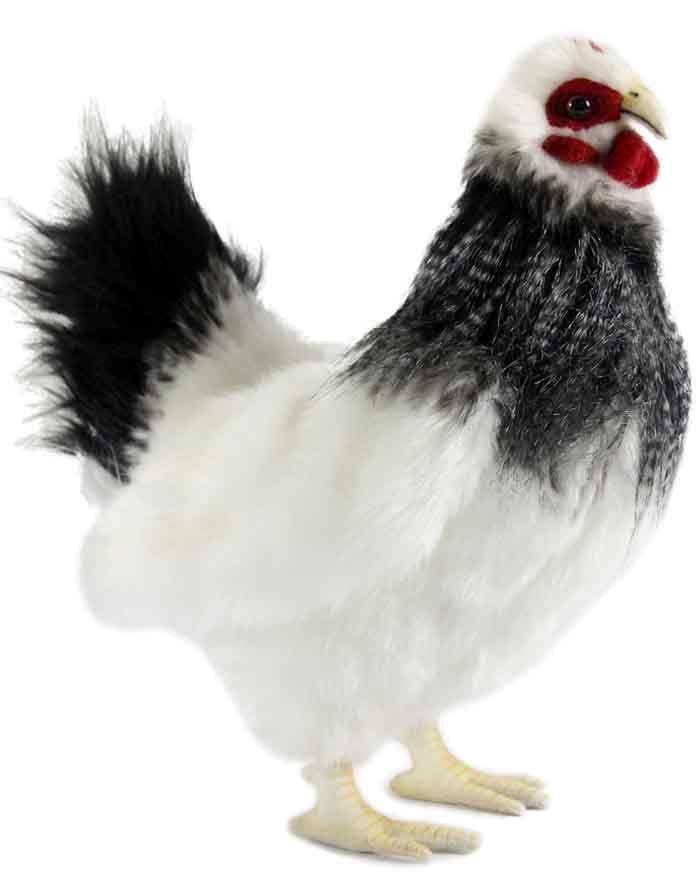 Black and White French Hen Plush Y1228