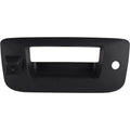 Tailgate Handle Camera U224