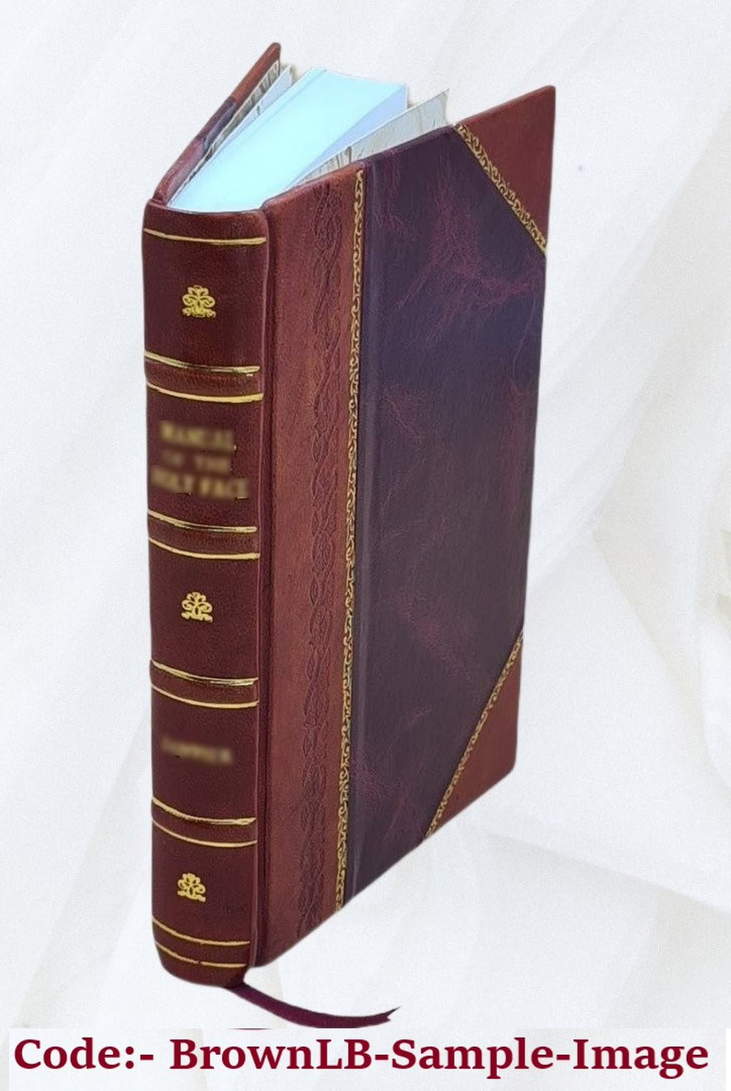 Leather Bound Roman D677