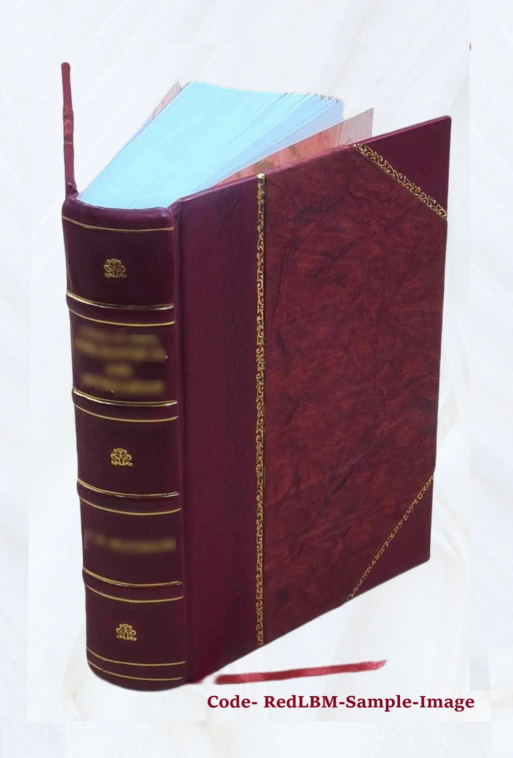 Leather Bound Book V36042