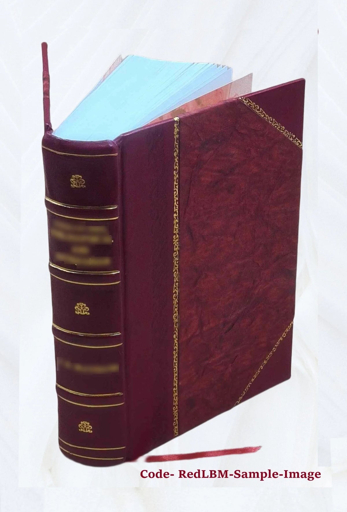 Leather Bound Book V36042