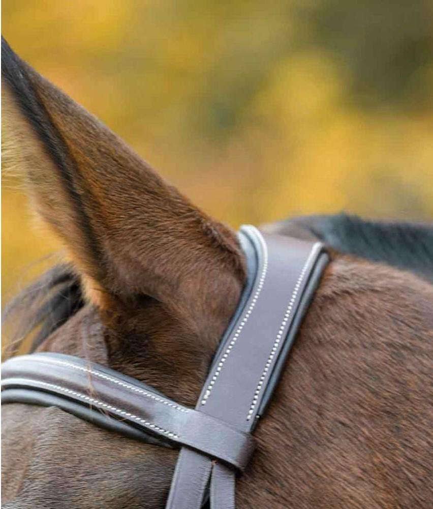 Havana Bridle W656225