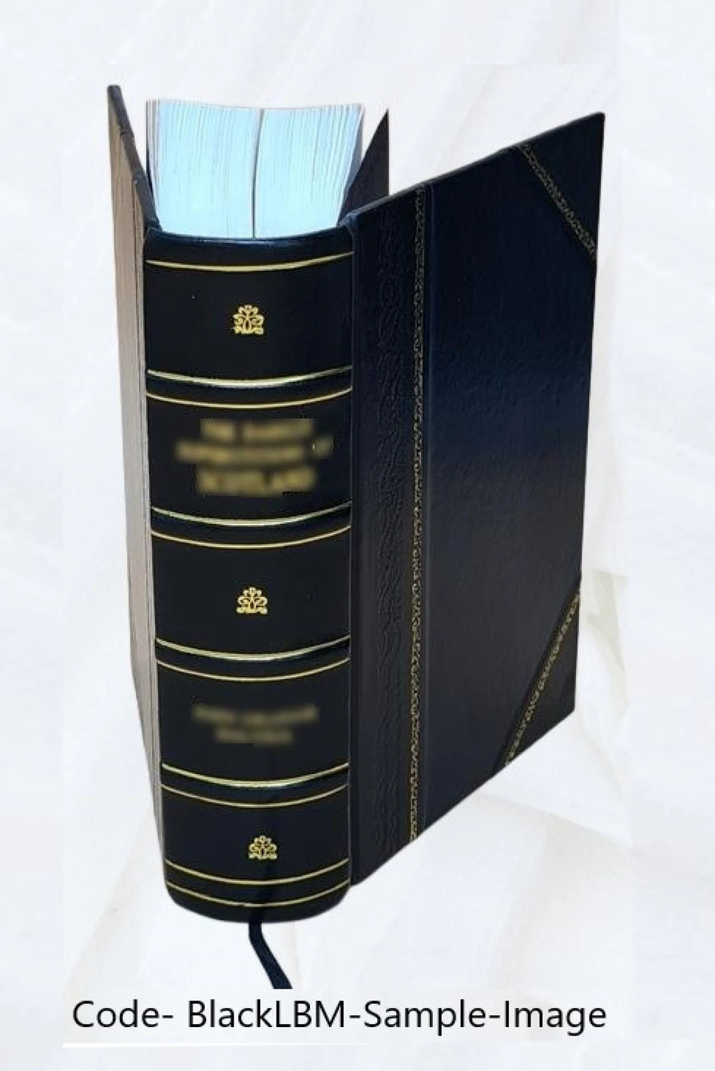 Leather Bound Book V36042