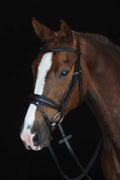 Black Warmblood Padded Raised Flash Bridle T15723