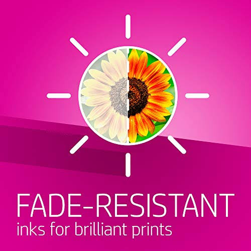 High Yield Original Magenta Ink Cartridge O814813