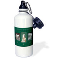 Sports Water Bottle 21 oz W514