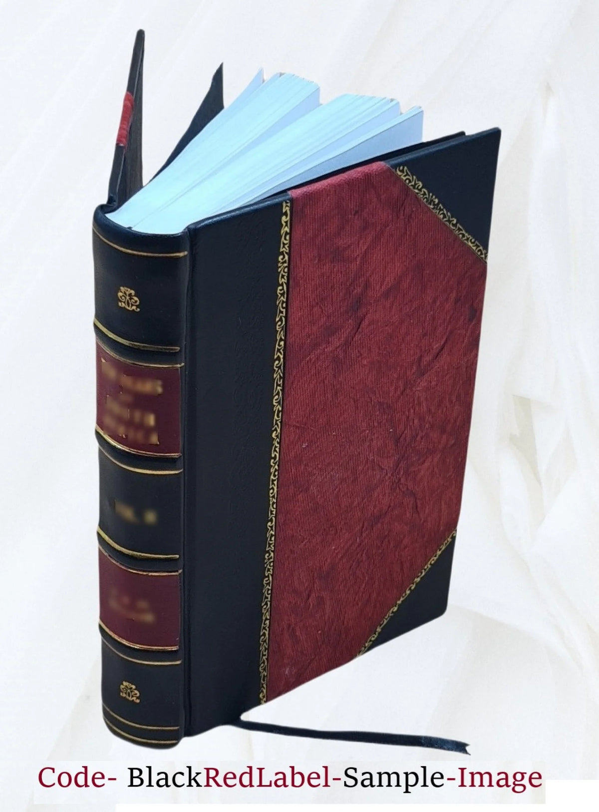 Leather Bound Roman D677